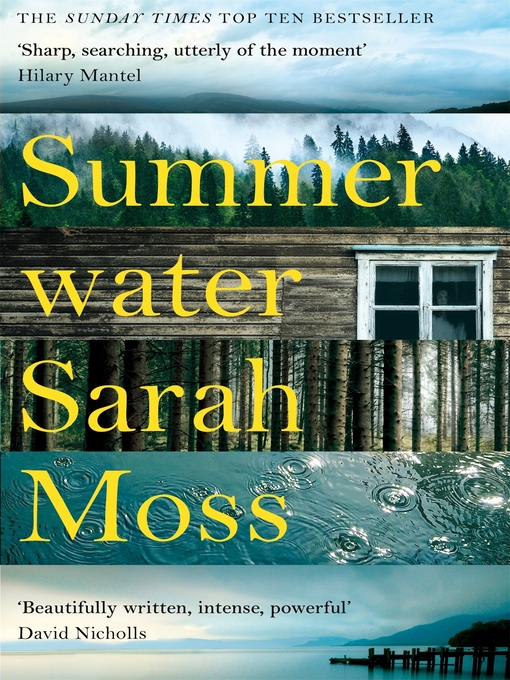 Cover image for Summerwater